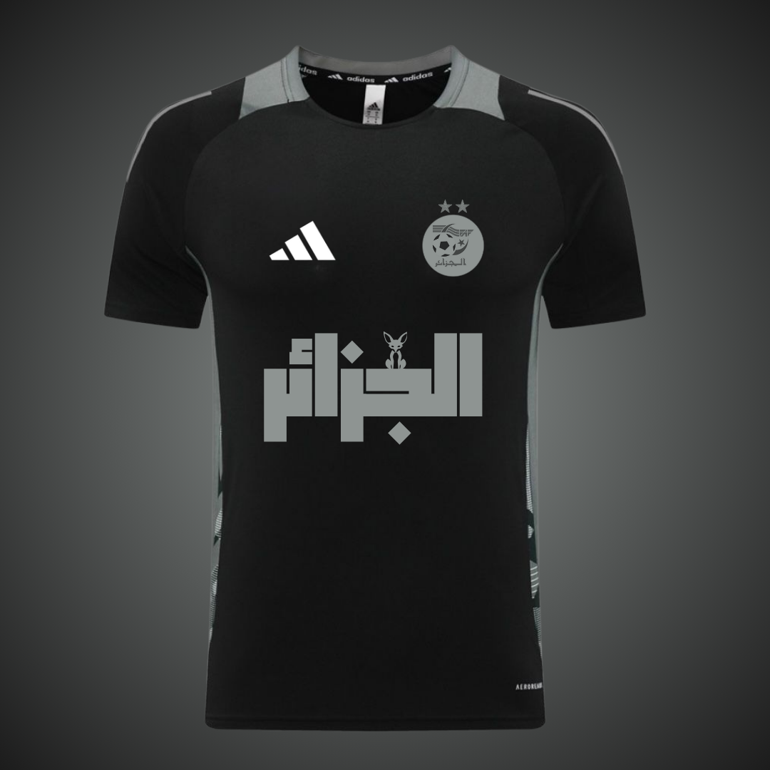 Algèrie Gris