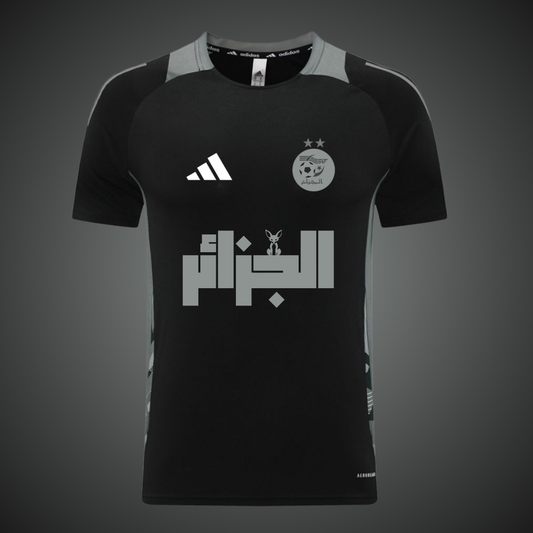 Algèrie Gris